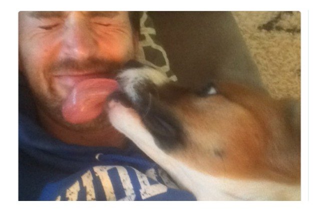 chris evans opens up about his new adopted dog dodger