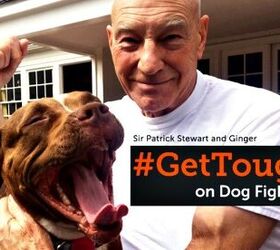 aspca wants you to gettough on dog fighting