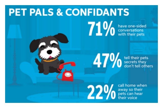 survey says pet parents celebrate their pets more than ever