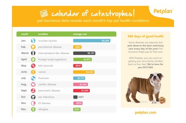 calendar of catastrophes outlines what month to expect pet illnesses