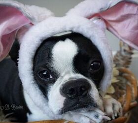 9 Easter Nuggets of Inspiration From Lola B. Boston