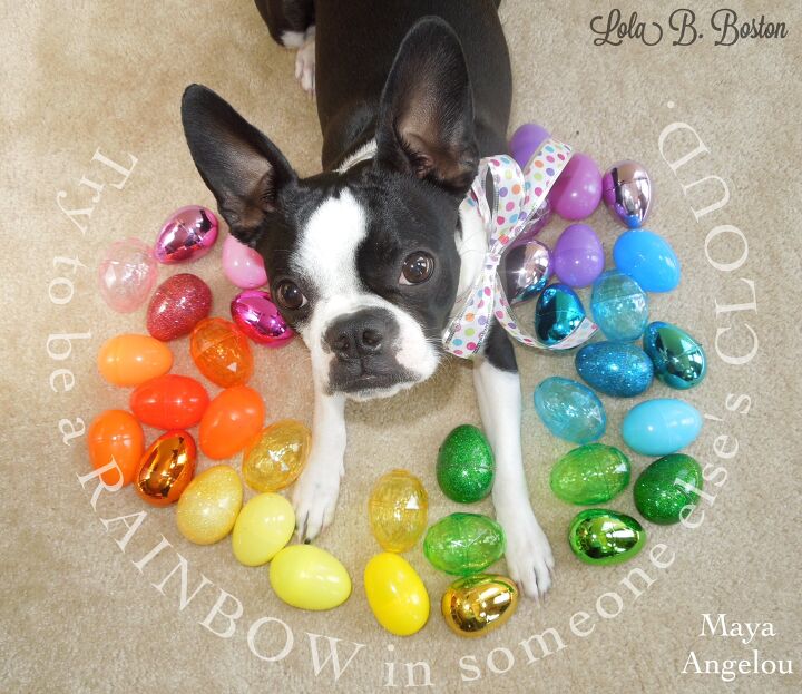 9 easter nuggets of inspiration from lola b boston