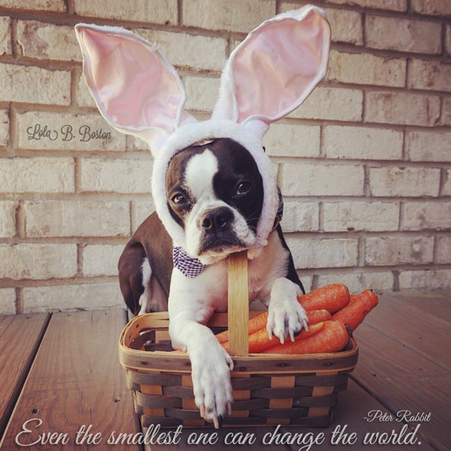 9 easter nuggets of inspiration from lola b boston