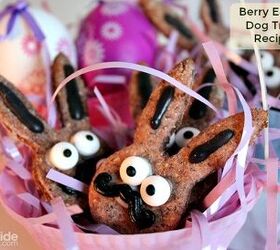 Berry Easter Dog Treat Recipe