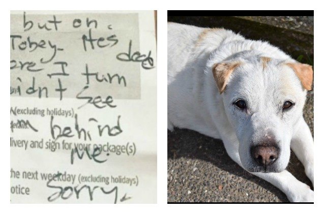 ups driver runs over dog leaves note on pickup notice