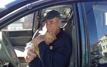 GoFundMe Campaign Helps Grandfather Care for Stray Cats