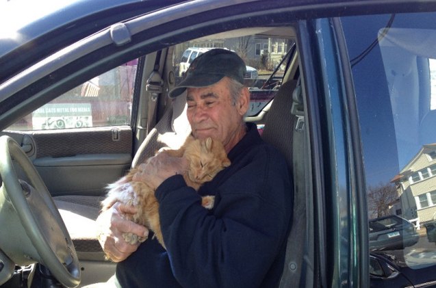 gofundme campaign helps grandfather care for stray cats