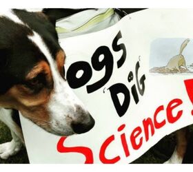 Pups Support Science At March For Science Rallies