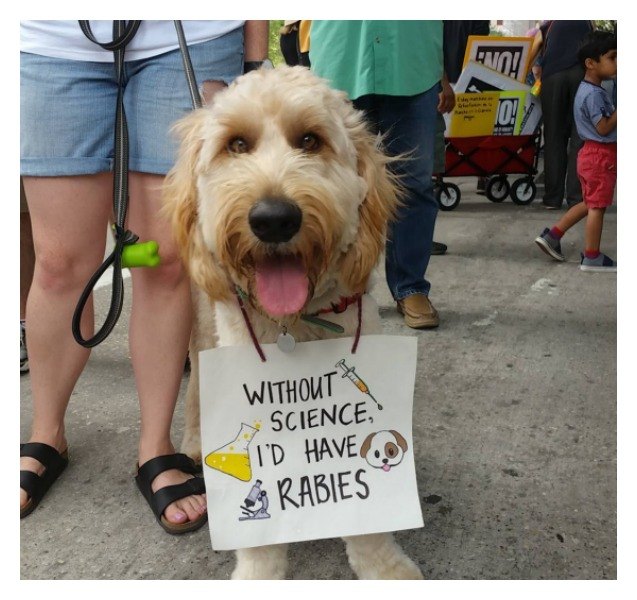 pups support science at march for science rallies