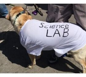 pups support science at march for science rallies