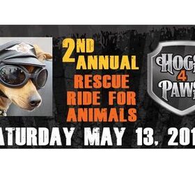 A Motorcycle Ride to Raise Money for Pets? Yes Please.