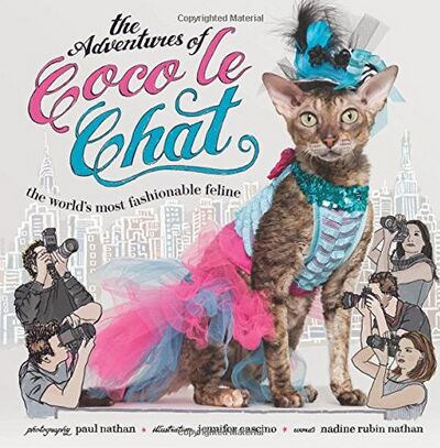 cat couture how designers are grabbing feline fashion by the pussy
