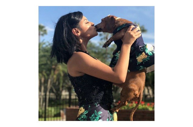 prom pooch and her date take the crown as best dressed couple