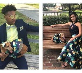 prom pooch and her date take the crown as best dressed couple
