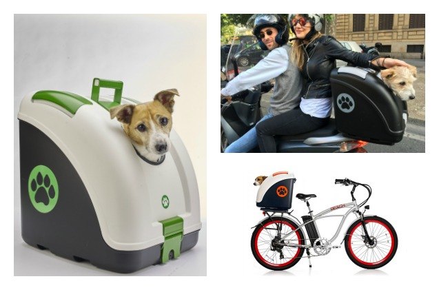 3 adventurous travel carriers for hip pets