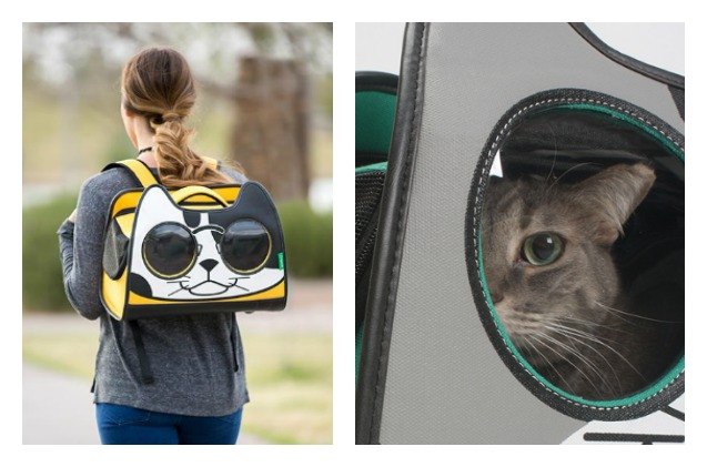 3 adventurous travel carriers for hip pets