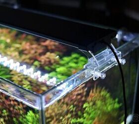 Aquarium LED Review: Finnex Planted+ 24/7