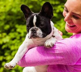 6 Life Lessons Your Dog Can Teach You