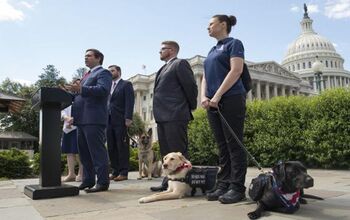 Bipartisan PAWS Act To Help Veterans With PTSD