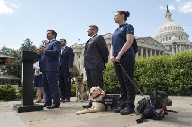 bipartisan paws act to help veterans with ptsd