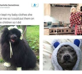 11 Motherhood Goals From a Dog Mom