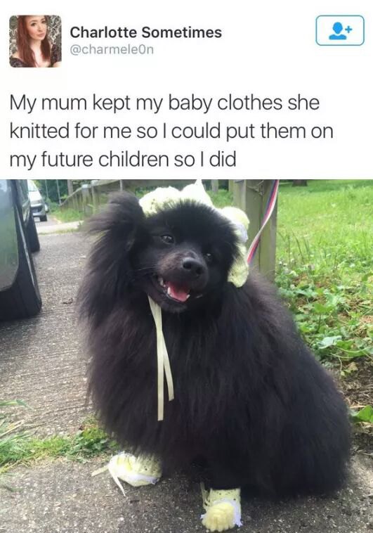 Daily Goals for Dog Mom Long Sleeve