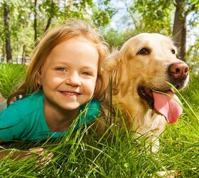 study family dogs can help reduce stress levels in children