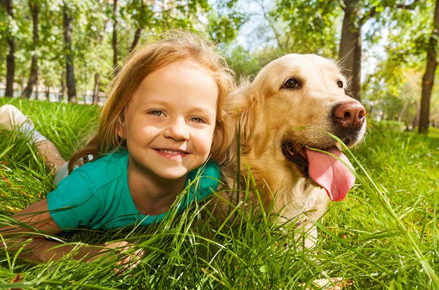 study family dogs can help reduce stress levels in children