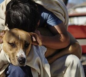 Shelter Spotlight: Pets of the Homeless