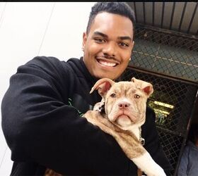 NFL Stars Show Their Soft Sides to Find Forever Homes for Pets