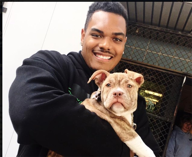 nfl stars show their soft sides to find forever homes for pets