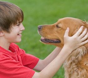 Study: Family Dogs Benefit Children With Disabilities