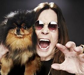 Heavy-Metal Icon Ozzy Osbourne to Open Not-So-Hardcore Doggie Daycare
