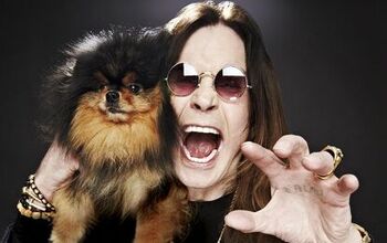 Heavy-Metal Icon Ozzy Osbourne to Open Not-So-Hardcore Doggie Daycare