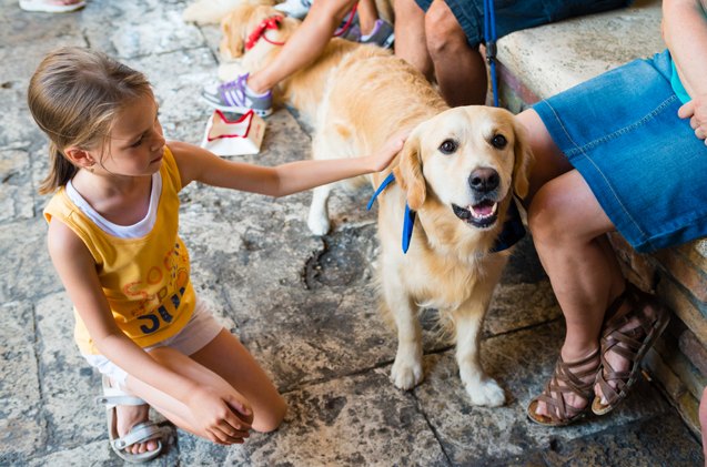 study therapy dogs help asd children improve social skills