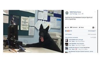 Top 10 Reasons You Need to Follow NSW Police Force Facebook Page