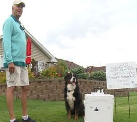 Dog Dives For Golf Balls To Raise Funds For Homeless Animals