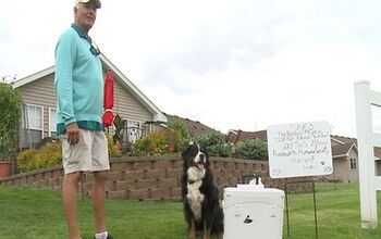 Dog Dives For Golf Balls To Raise Funds For Homeless Animals