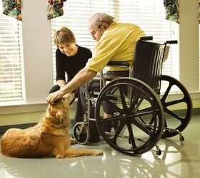 Peace of Mind Program Keeps Palliative Patients and Their Pets Togethe