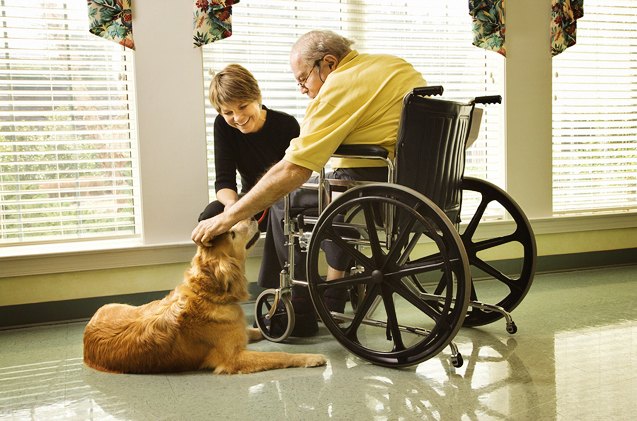 peace of mind program keeps palliative patients and their pets together