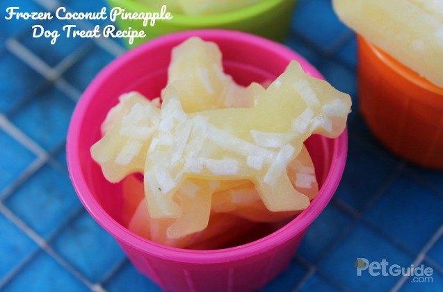 frozen coconut pineapple dog treat recipe