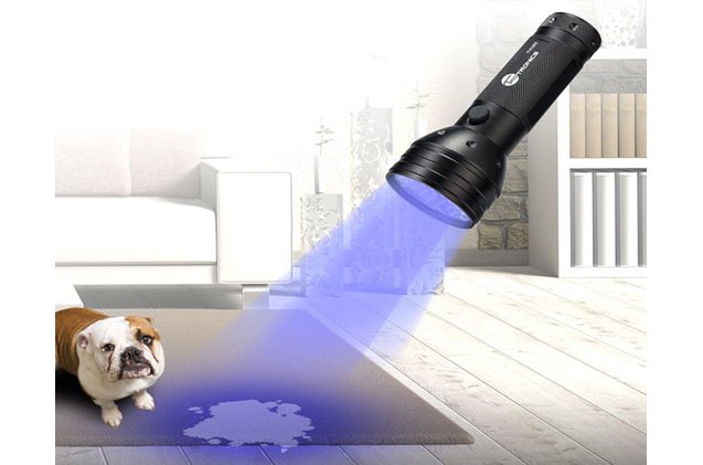 taotronics uv blacklight solves the case of the invisible dog pee pudd