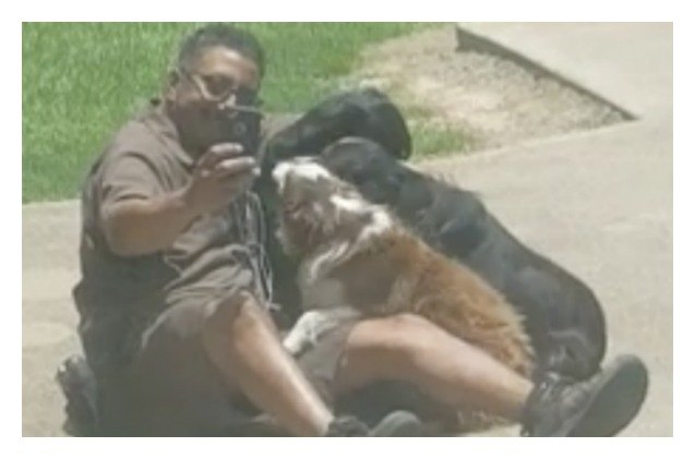 ups delivery driver picks up dog selfies on his route