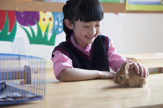 pets in the classroom program brings money and pets to children