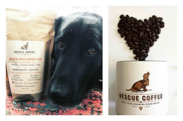 rescue coffee co perks up pups by supporting area animal shelters