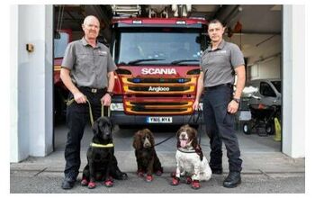 Sniffer Dogs Essential to Recovery in Grenfell Tower Devastation