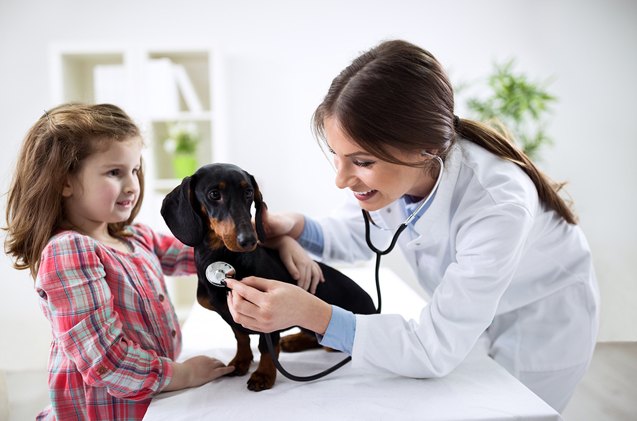 do you know the right vaccination schedule for your new pet