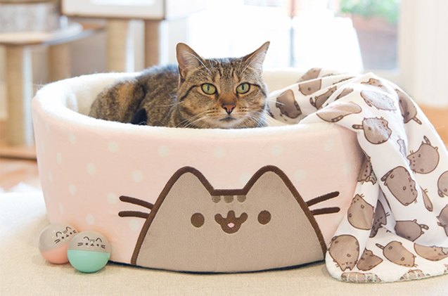 internet fat cat sensation pusheen s collection coming to petco