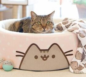 Internet Fat Cat Sensation Pusheen’s Collection Coming to Petco
