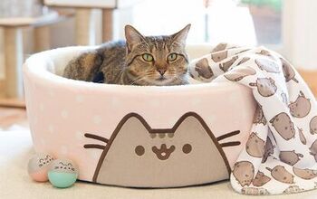 Internet Fat Cat Sensation Pusheen’s Collection Coming to Petco